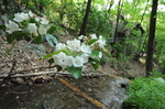 DSC_2597.JPG