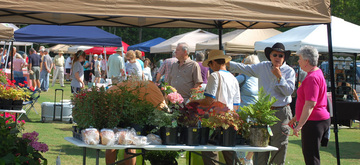 big-canoe-amenities-the-market2.jpg